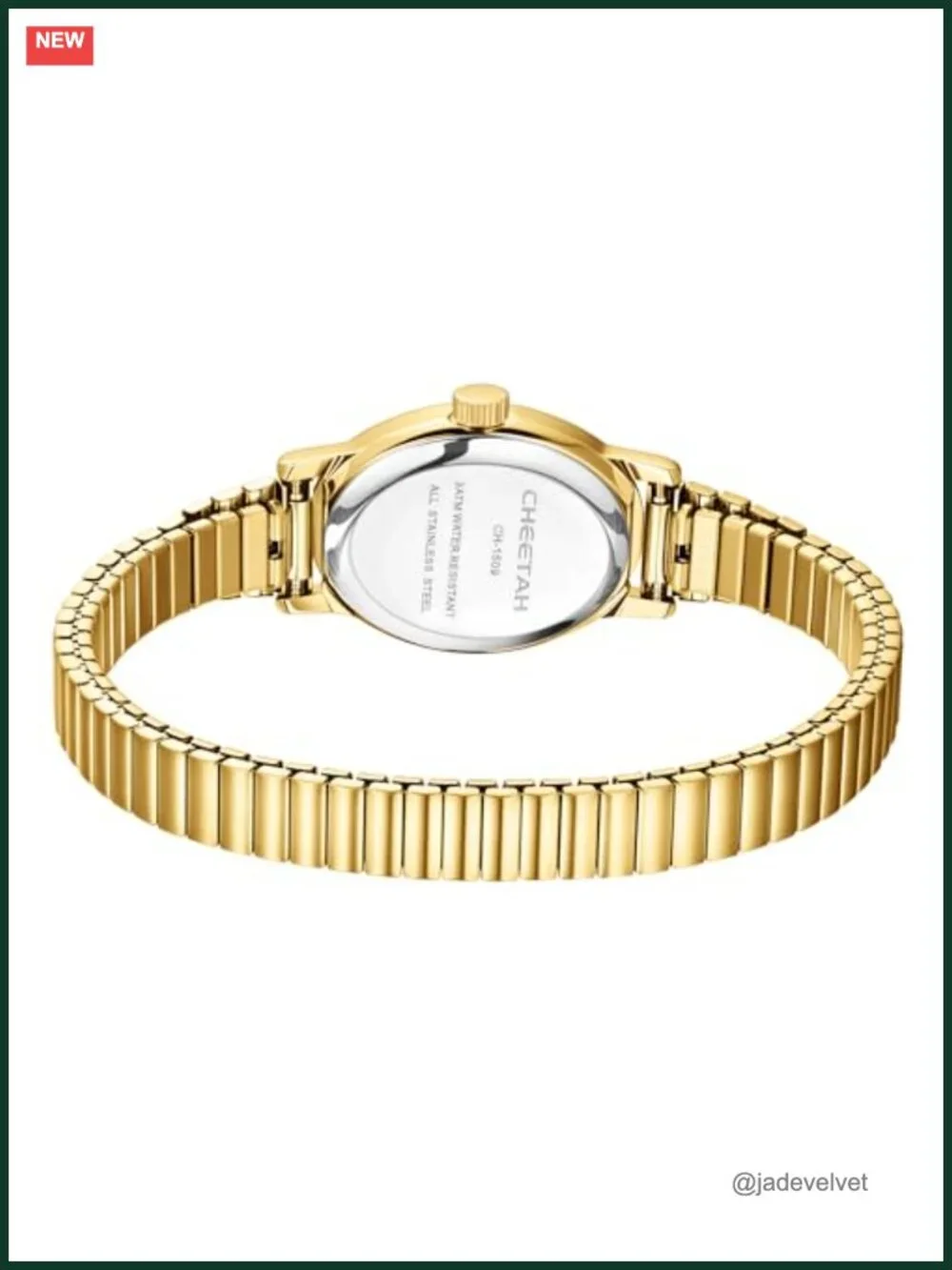 Dainty Oval Gold-Tone Watch with Stainless Steel Expansion Band and Roman Dial